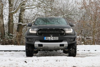 Félelmetes ragadozó, gyenge szívvel