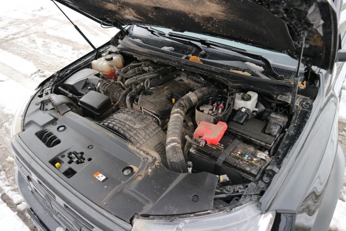 Félelmetes ragadozó, gyenge szívvel 12