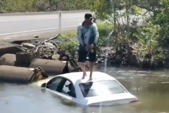 Krokodilokkal teli patakba hajtott a férfi, majd elkezdett pecázni