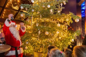 4,6 milliárdot ér a világ legdrágább karácsonyfája