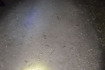 Szögeket és csavarokat szórtak az útra a határnál