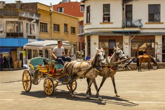 Betegség miatt vetik be a villanyautókat