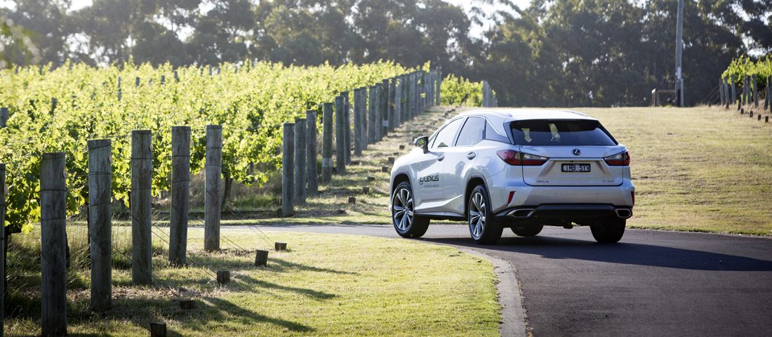 Ínyencnek való vidék