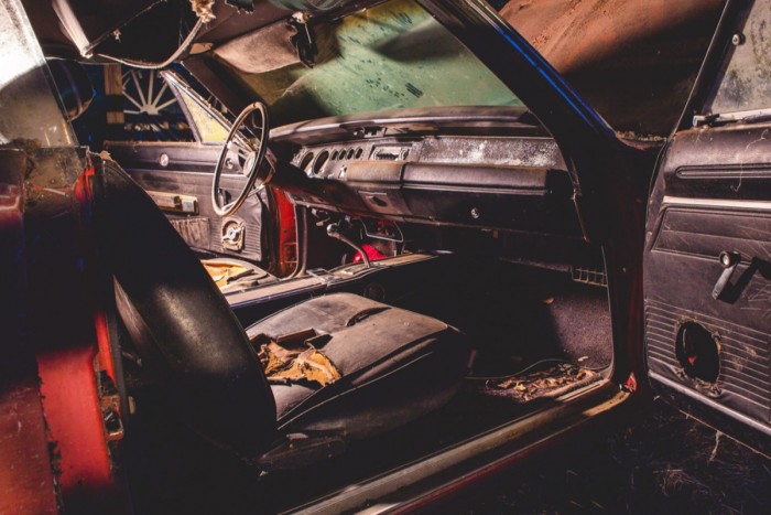 Arra jó volt, hogy a kutya aludjon benne 7