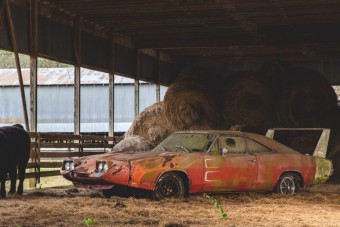 Arra jó volt, hogy a kutya aludjon benne