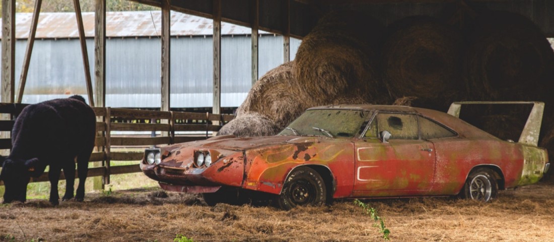 Arra jó volt, hogy a kutya aludjon benne