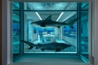 Las Vegasban 55 millió forintot kell fizetned, hogy döglött cápák társaságában alhass 14