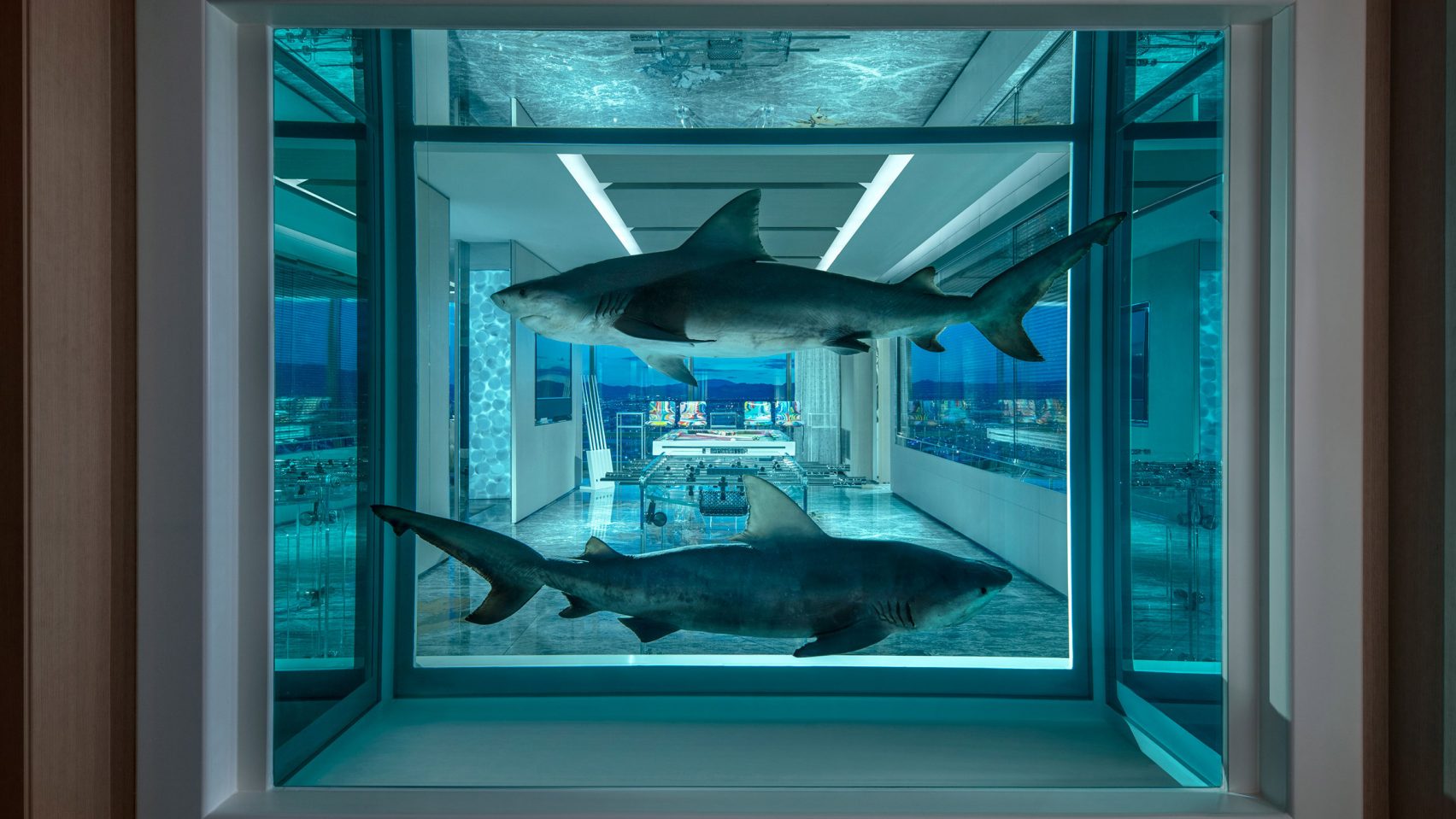 Las Vegasban 55 millió forintot kell fizetned, hogy döglött cápák társaságában alhass 1