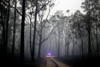 Világsztárok fogtak össze Ausztráliáért