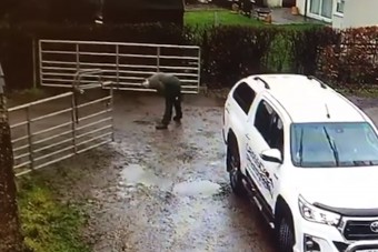 Nézd meg egy nő epikus küzdelmét a kapuval, és legyen neked is vidám a napod