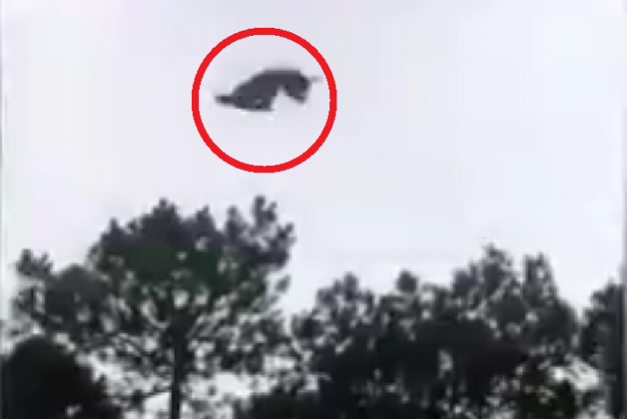 Morbid viccet űztek a milliomossal – videó