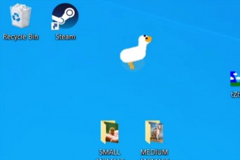 Káoszt okoz a számítógépeken egy liba