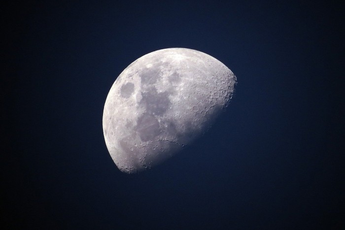 Különleges randihoz keres barátnőt egy japán milliárdos