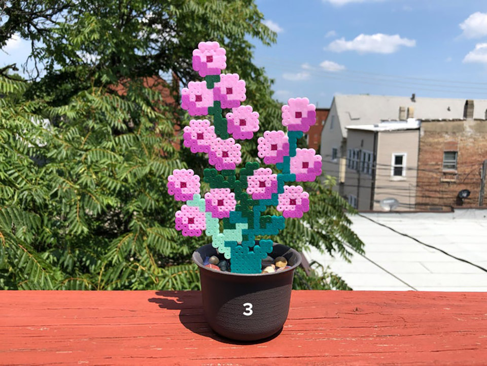 Ez a tökéletes virág a monitorra meredő gémereknek 1