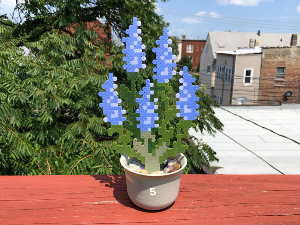 Ez a tökéletes virág a monitorra meredő gémereknek 2