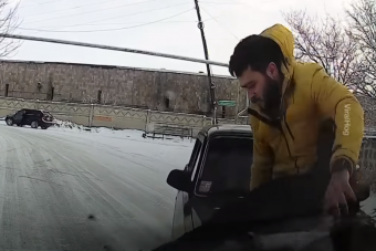 Rugólábai és gyors reflexei mentették meg az autóst