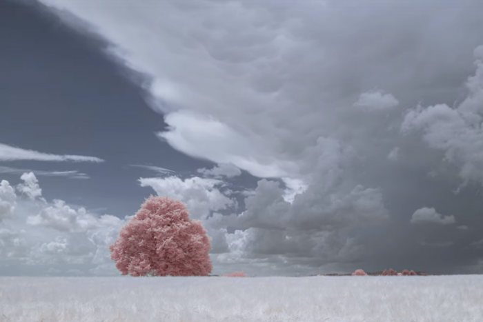 Átlagos tájból földöntúli élményt gyárt az infravörös kamera