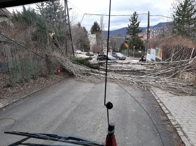 Fotókon az országra lecsapó, kamionokat borogató vihar 7