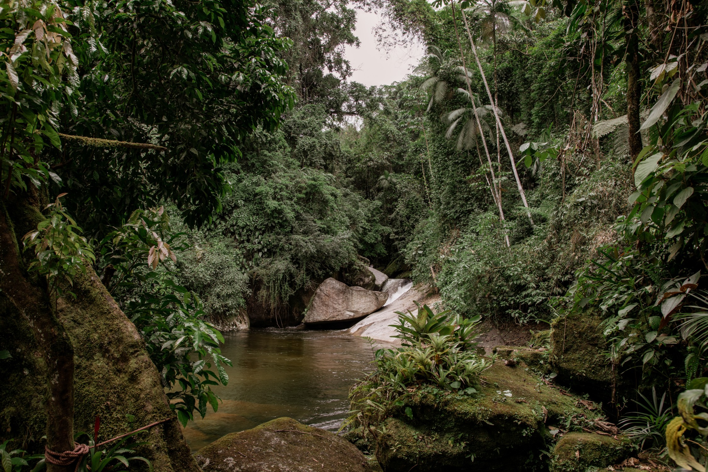 Privát vízesés is jár a luxus dzsungelkunyhó mellé 8