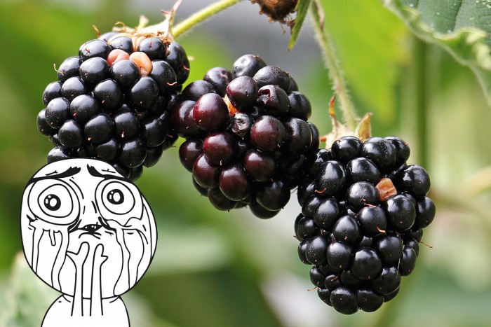 Végleg megszűnik a legendás mobil