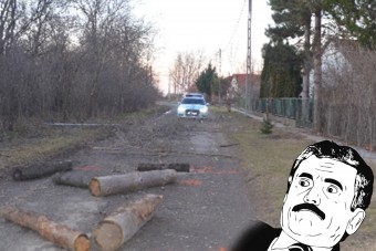 Idegállapotba jött egy felsőnyéki férfi, a rendőrök is csak vakarták a fejüket