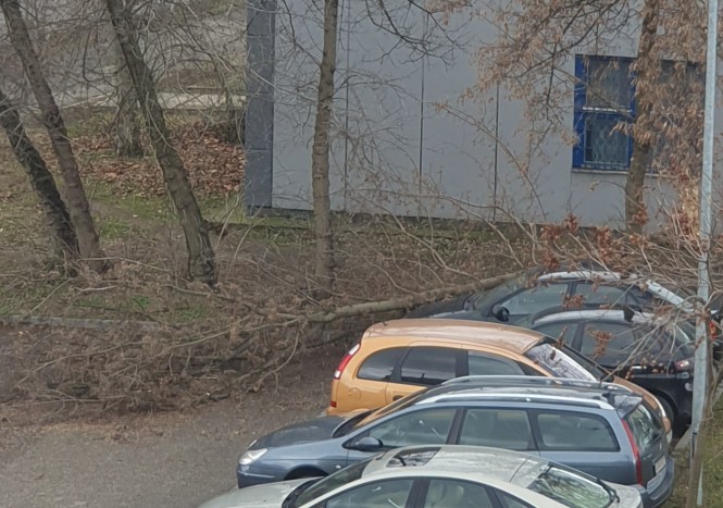 Fotókon az országra lecsapó, kamionokat borogató vihar 4 Fotókon az országra lecsapó, kamionokat borogató vihar 4