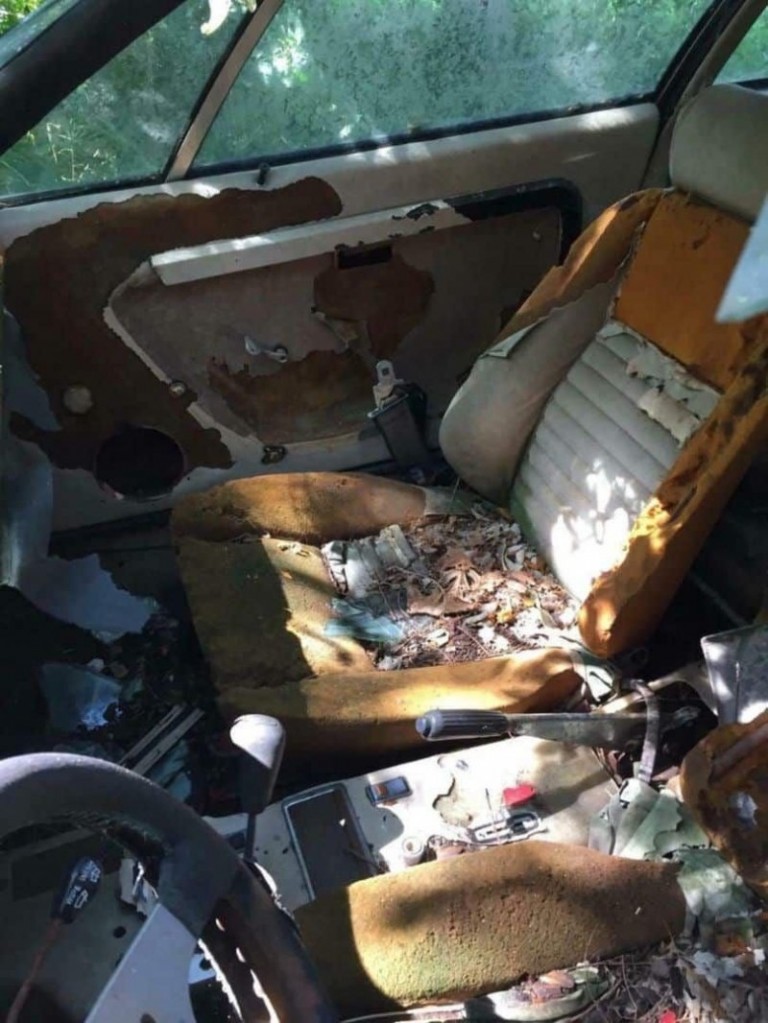 A bozótban rohadó rozsdakupac is érhet sokat, ha valaha Ferrari volt 4