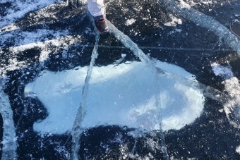 Az Antarktiszt is megtámadta napjaik legnagyobb ellensége