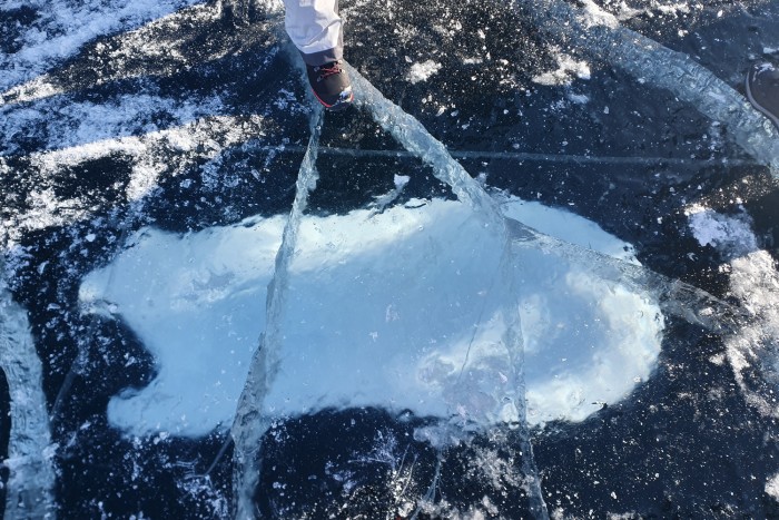 Az Antarktiszt is megtámadta napjaik legnagyobb ellensége