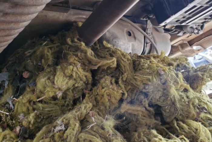 13 friss sírva röhögős fotó a műhelypokolból