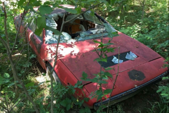 A bozótban rohadó rozsdakupac is érhet sokat, ha valaha Ferrari volt