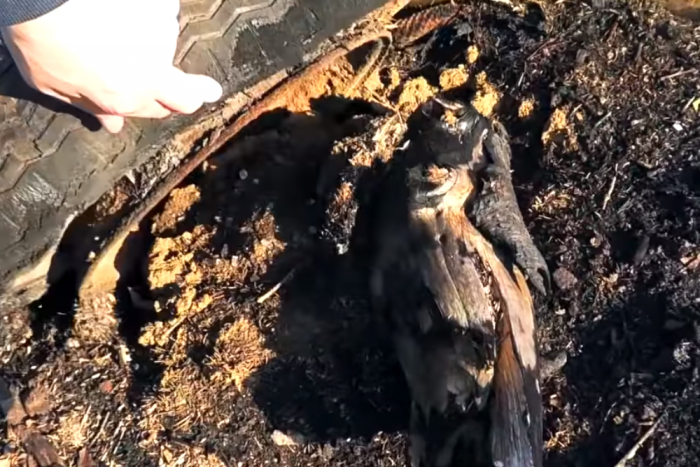 A világ legszebb roncstemetőjéhez indult, de egész mást talált a magyar videós