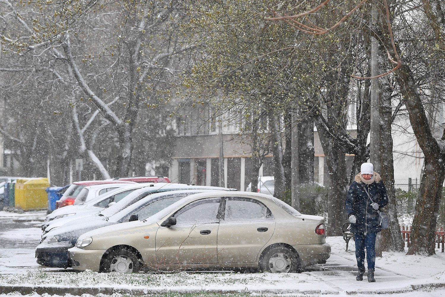 Fotókon a márciusi hóval beterített ország 5