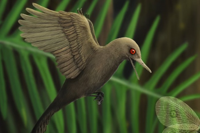 Ilyen kicsi dínót még nem látott a világ