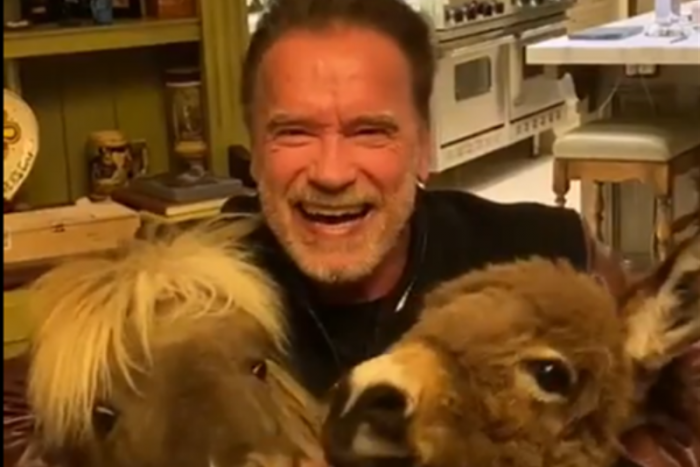 A Terminátor is arra kér, hogy maradj otthon