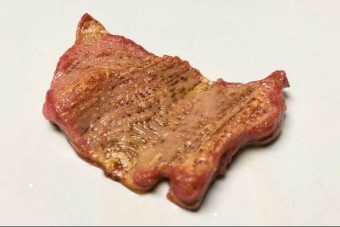 Itt az első nyomtatóval készített műhús