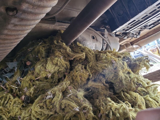 13 friss sírva röhögős fotó a műhelypokolból 12