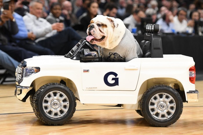 Óvatosabban vezetünk, ha kutya is van az autóban 6