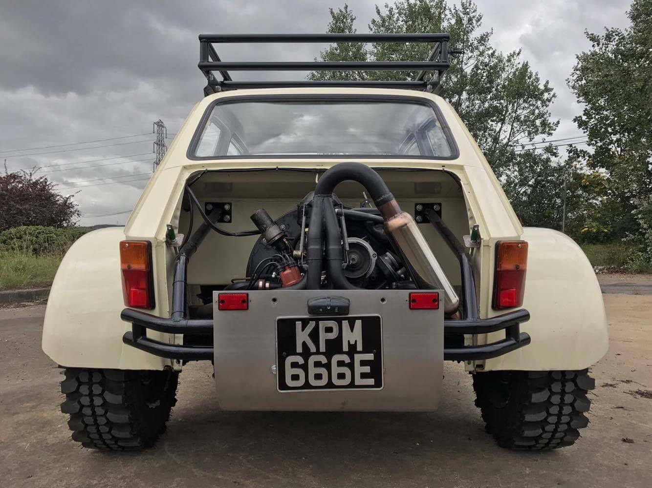 Ez a megvadított Kispolszki a homokdűnék királya 6