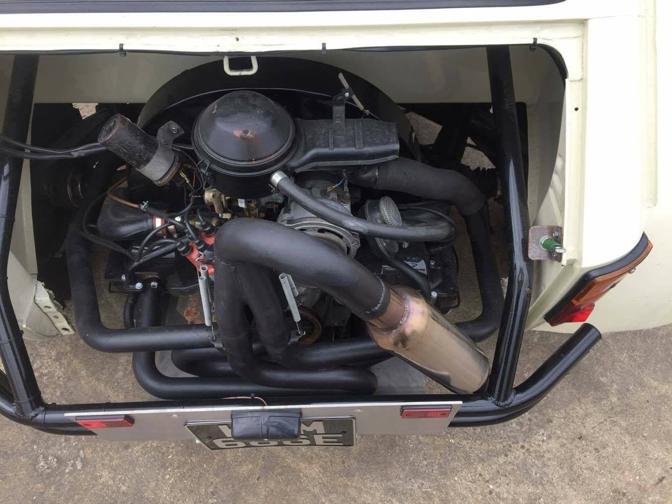 Ez a megvadított Kispolszki a homokdűnék királya 3