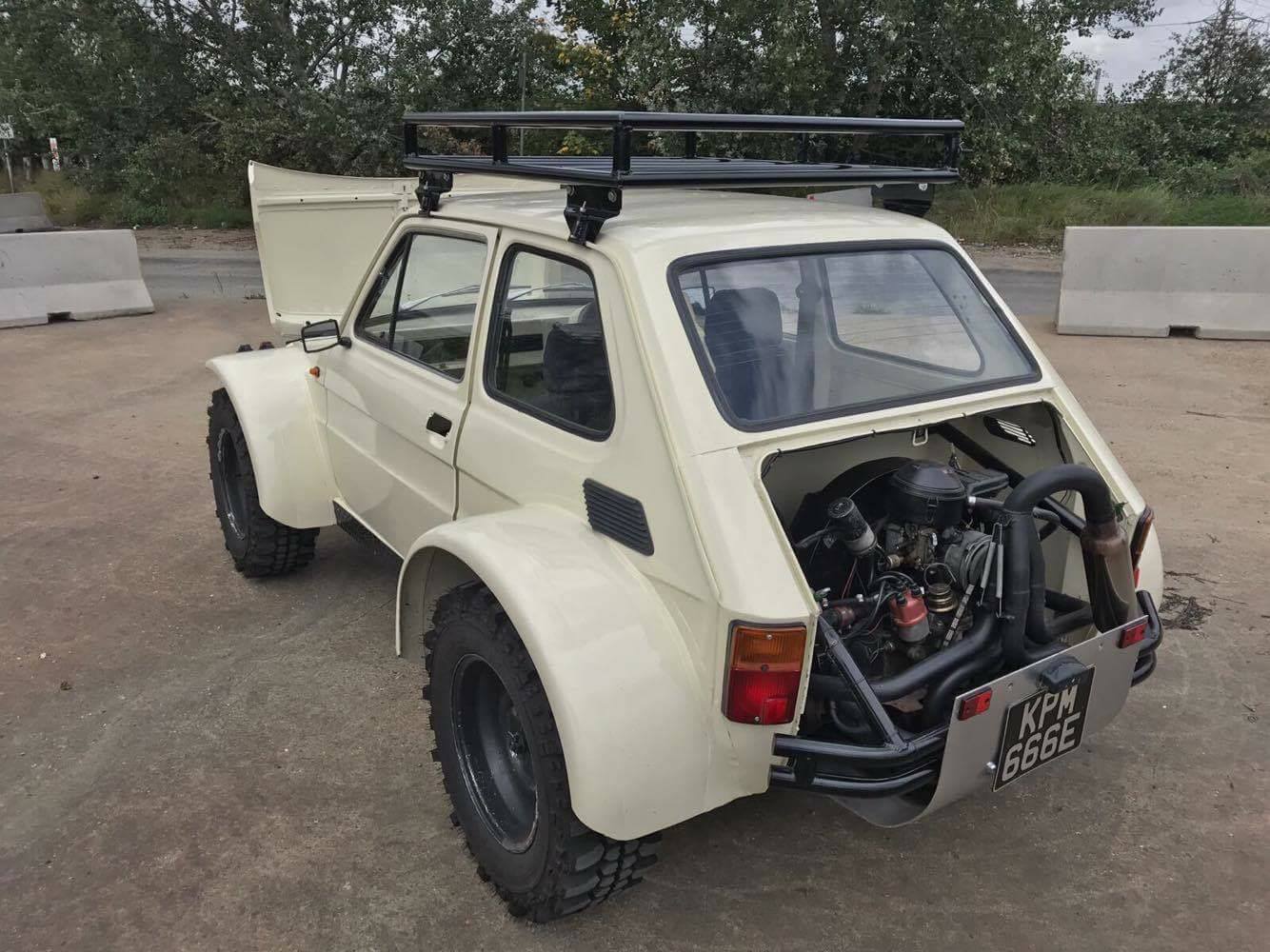 Ez a megvadított Kispolszki a homokdűnék királya 5