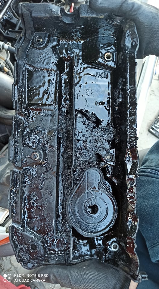 Ez a horror fogadta a magyar szerelőt, amikor felnyitotta a motorteret 2