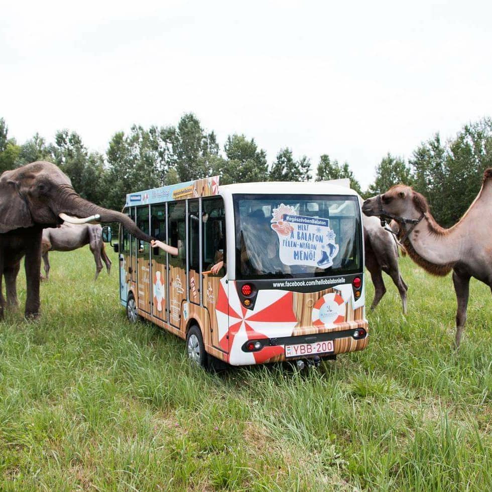 Autós szafaripark nyílik Magyarországon 1