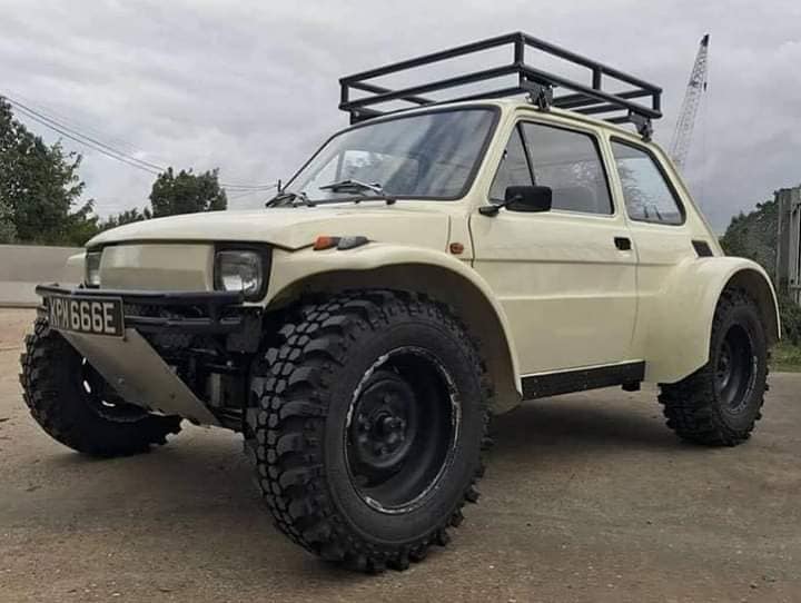 Ez a megvadított Kispolszki a homokdűnék királya 1