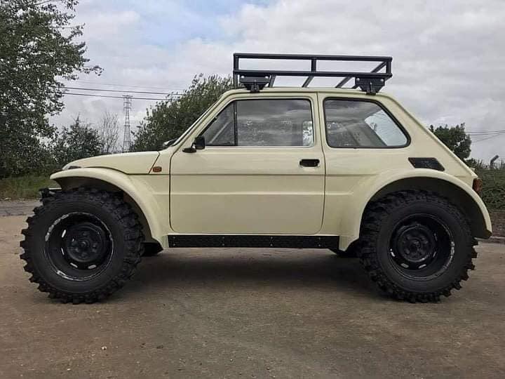 Ez a megvadított Kispolszki a homokdűnék királya 2