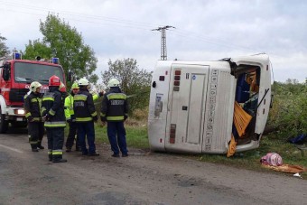 A buszsofőrök okozzák a legtöbb balesetet