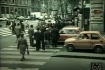 Tudod egyáltalán, hogyan kell megközelíteni egy zebrát?