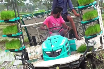 A rizsültető traktor nekünk földöntúli szerkezet, de Ázsiában egyszerű munkagép