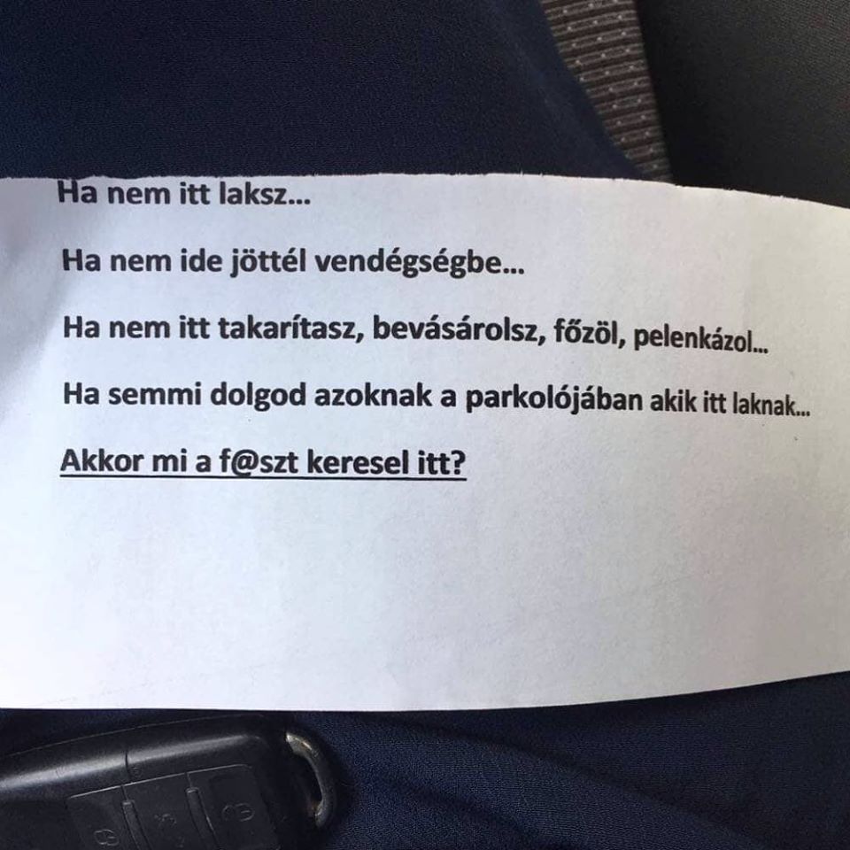 Cetli landolt a szélvédőn, a kommentelők pedig megvadultak, imádjuk őket 1