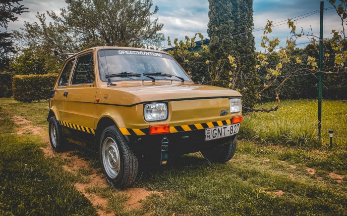 Így lesz egy autóból szerelem és igazi családtag – Egy hazai Kispolszki szívmelengető története 19